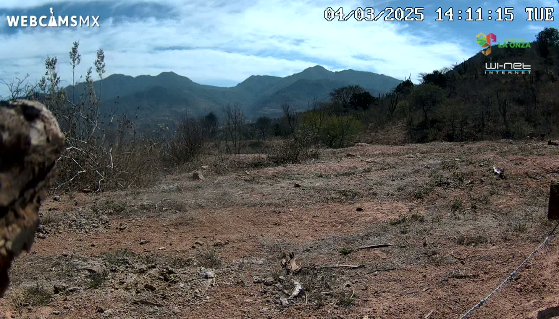 A mostly barren, reddish-brown dirt field with sparse, dry brush and distant mountains under a partly cloudy sky.