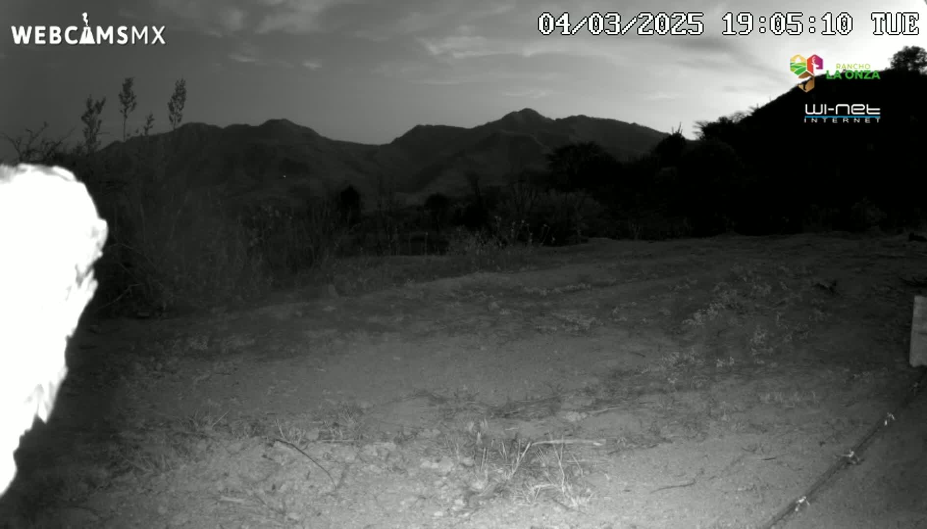 A nighttime, low-light image shows a flat, sparsely vegetated area in front of a low mountain range under a mostly clear, dusky sky.