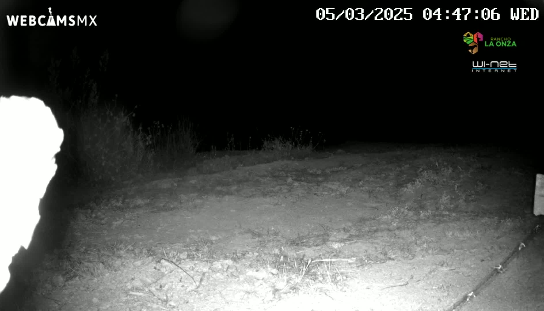A nighttime, low-light image shows a dirt area with sparse vegetation, possibly a road or path, under a dark sky.