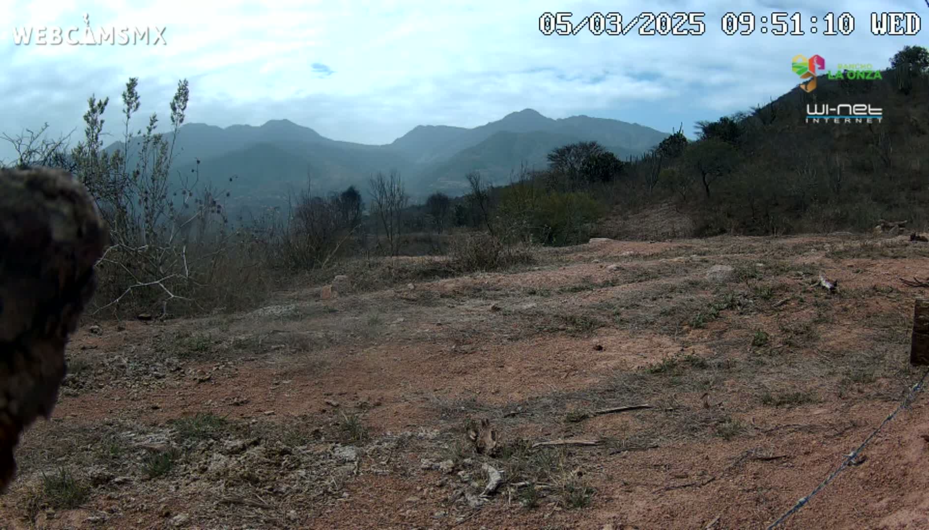 A mostly barren, reddish-brown dirt expanse stretches out before a background of dry, scrubby vegetation and distant, hazy mountains under a partly cloudy sky.