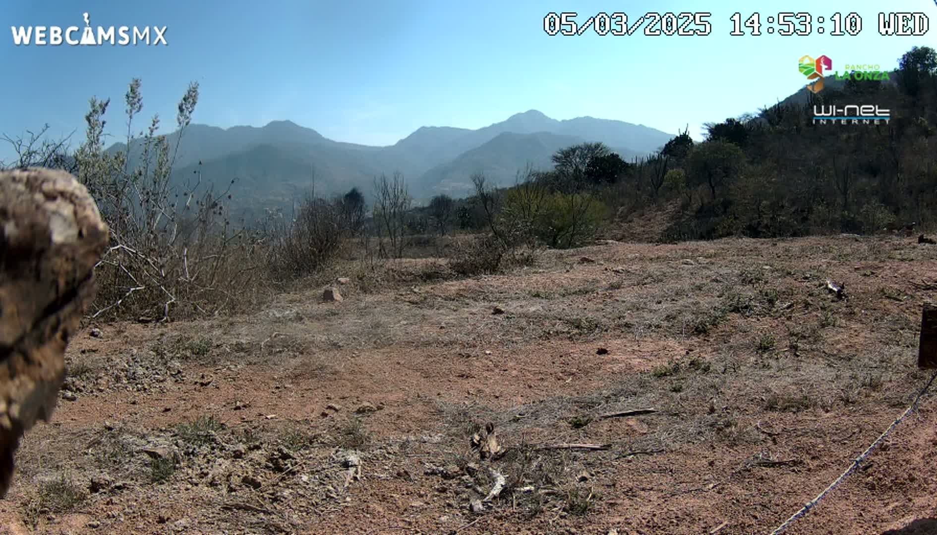 A dry, reddish-brown dirt field with sparse, dry vegetation extends to a range of distant mountains under a clear blue sky.