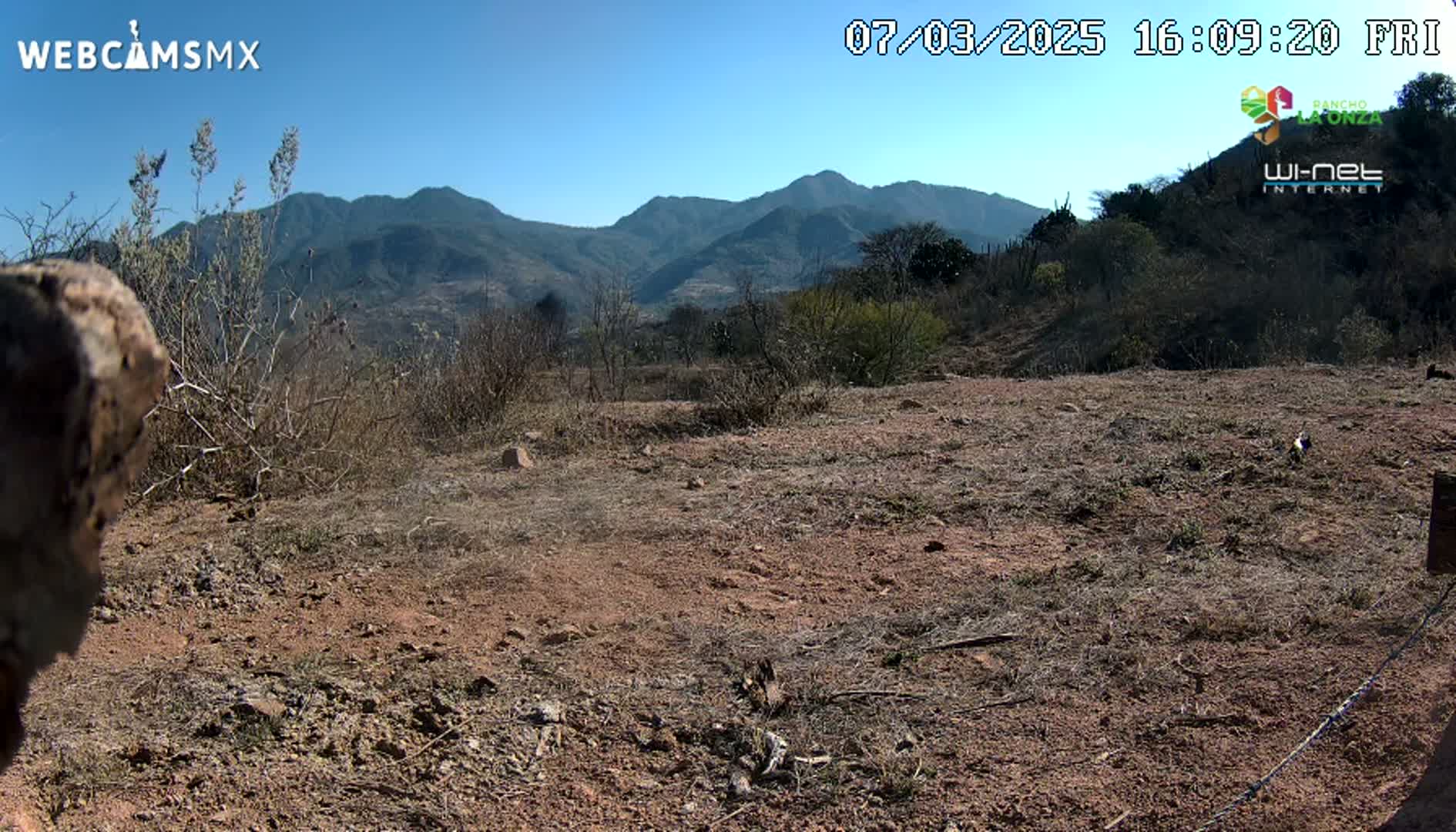 A dry, reddish-brown dirt patch, sparsely vegetated, stretches towards a range of dark-colored mountains under a clear blue sky.