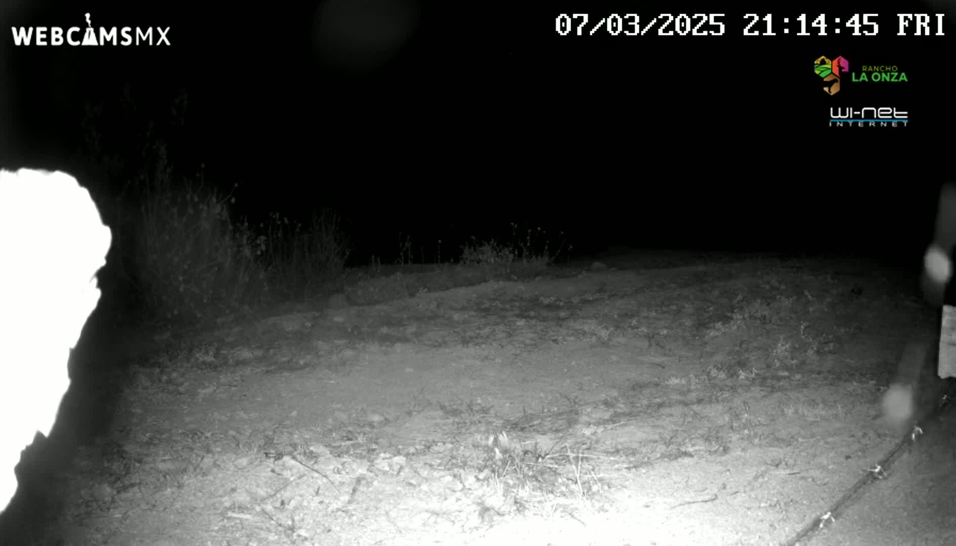 A nighttime, low-light image shows a dirt ground with sparse vegetation, possibly a road or path, under a dark, clear sky.