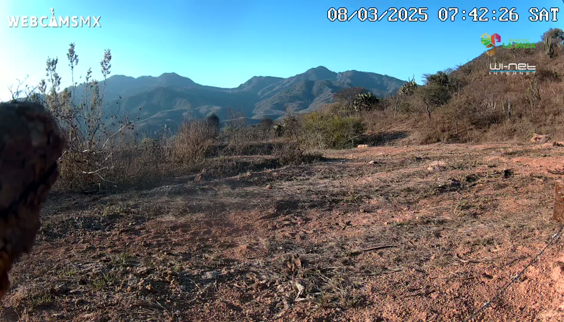 A dry, reddish-brown dirt patch with sparse, dry vegetation in the foreground extends toward a range of distant, dark-colored mountains under a clear blue sky.