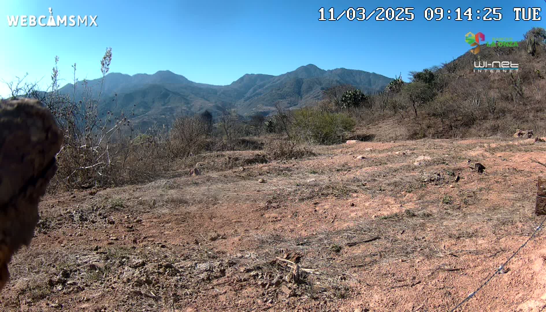 A dry, reddish-brown dirt field with sparse, dry brush and distant mountains under a clear blue sky.