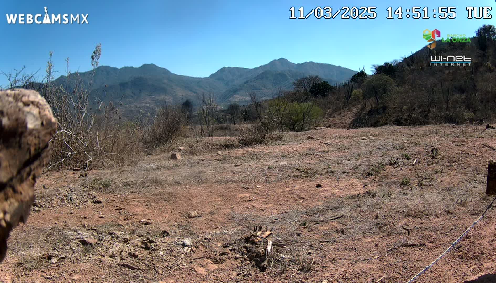 A dry, reddish-brown dirt area with sparse, dry brush and distant mountains under a clear blue sky.