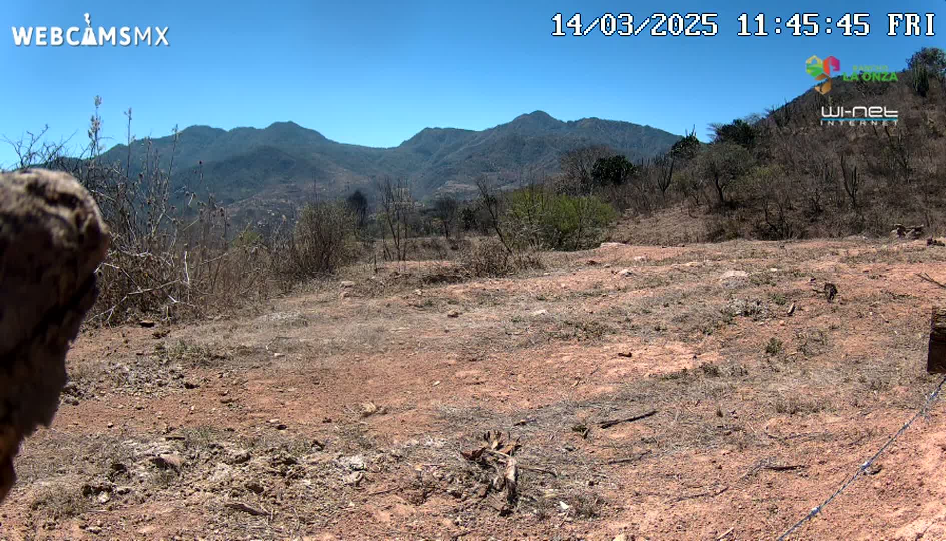 A barren, reddish-brown dirt patch stretches toward a distant mountain range under a clear blue sky.