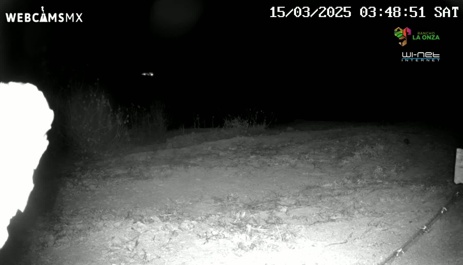 A nighttime, low-light image shows a dirt path or field with sparse vegetation under a dark sky.
