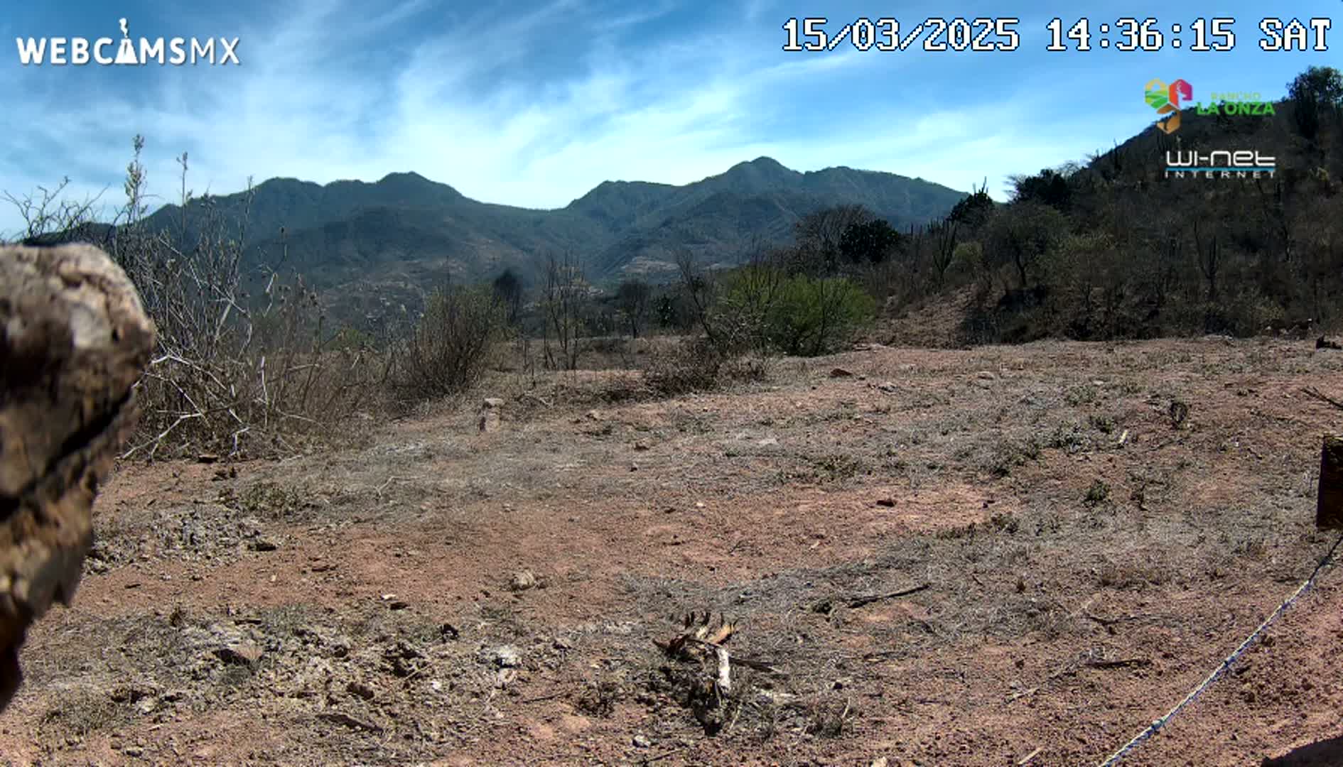 A mostly barren, reddish-brown dirt field with sparse, dry brush and distant mountains under a mostly clear, blue sky.