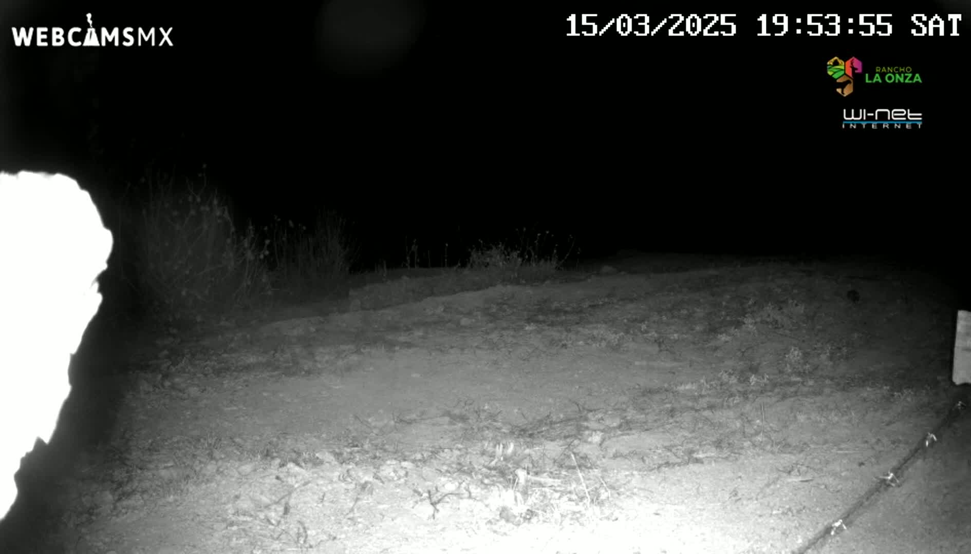 A nighttime, low-light image shows a sparsely vegetated, dirt area with a wire running across the bottom.