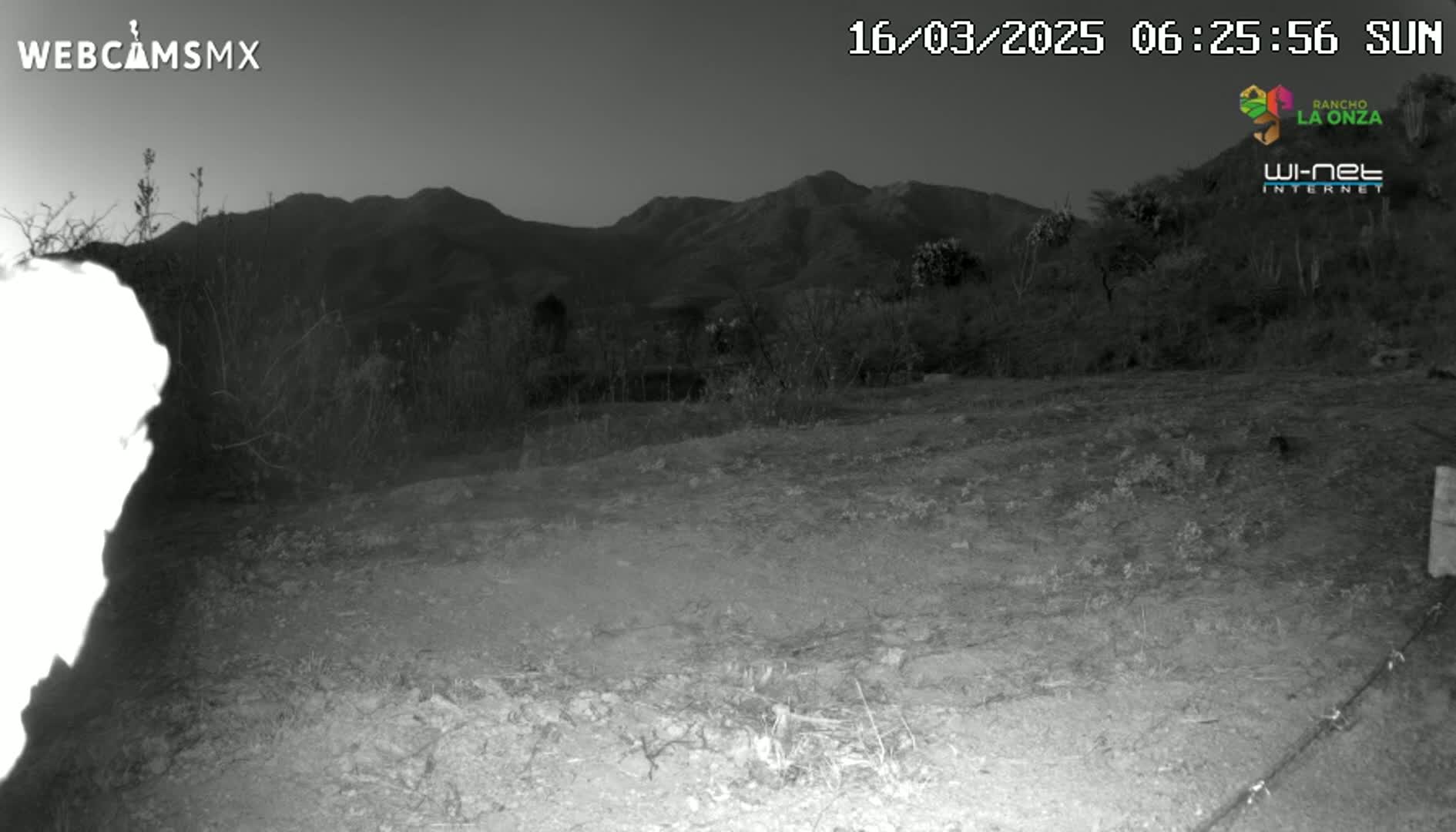 A nighttime, low-light image shows a sparsely vegetated, flat area in the foreground, leading up to a dark, mountainous landscape under a twilight sky.
