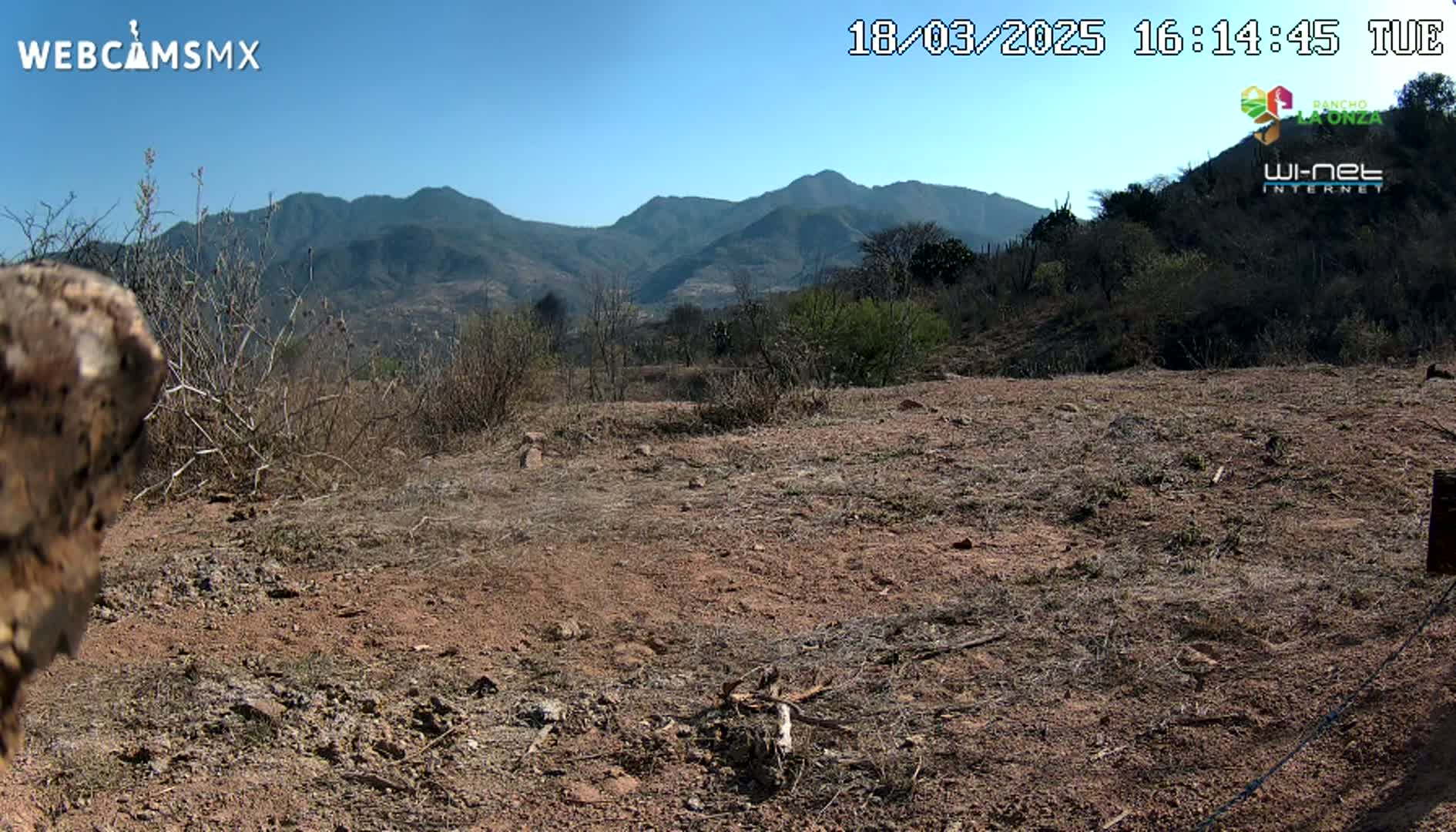 A dry, reddish-brown dirt landscape with sparse, dry vegetation stretches out before a range of distant mountains under a clear blue sky.