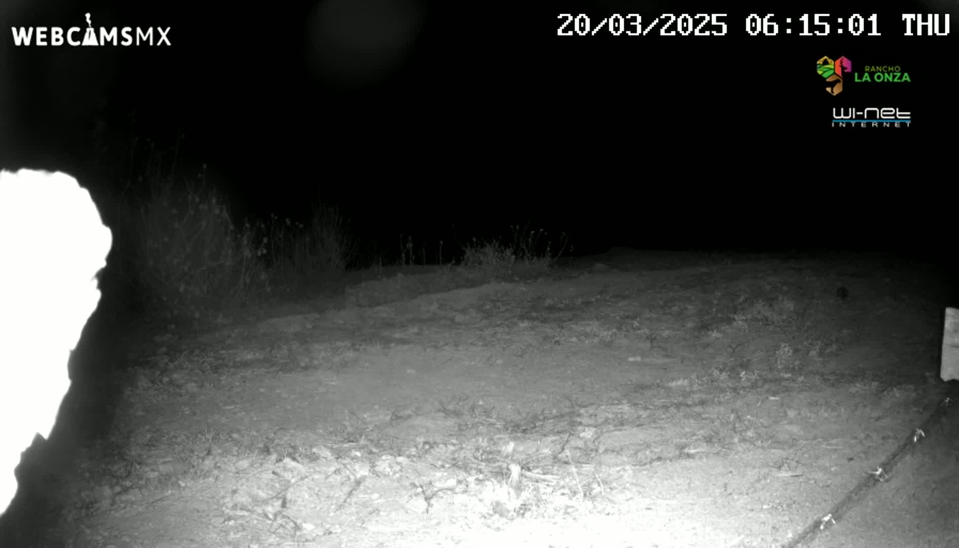 A nighttime, infrared image shows a dirt area with sparse vegetation, possibly a road or path, under a dark sky.