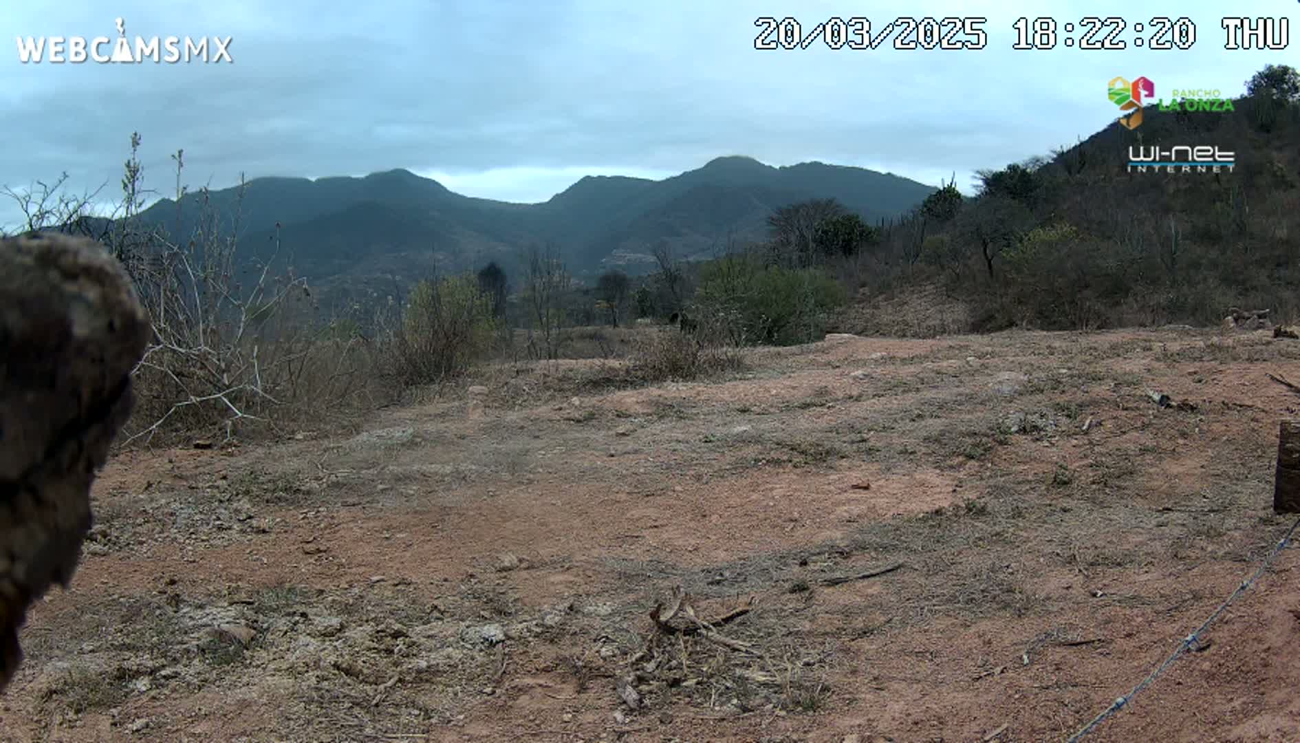 A mostly barren, reddish-brown dirt expanse stretches out before a range of dark green mountains under a cloudy sky.