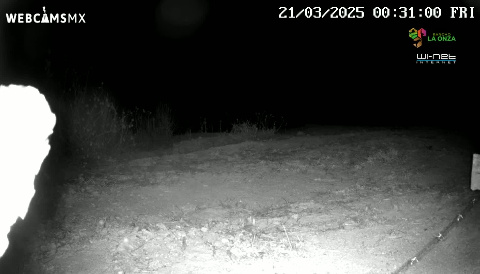 A nighttime, infrared image shows a dirt area with sparse vegetation, and a bright, overexposed object in the lower left corner.