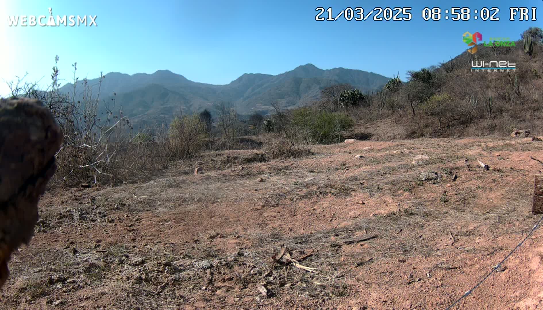 A mostly barren, reddish-brown dirt expanse stretches out before a background of scrubby vegetation and distant mountains under a clear blue sky.
