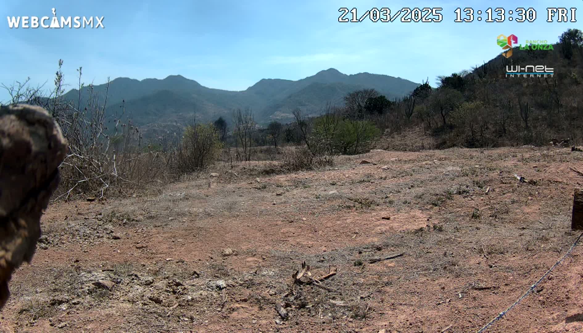 A dry, reddish-brown dirt field with sparse, dry vegetation stretches towards a range of dark-green mountains under a clear blue sky.