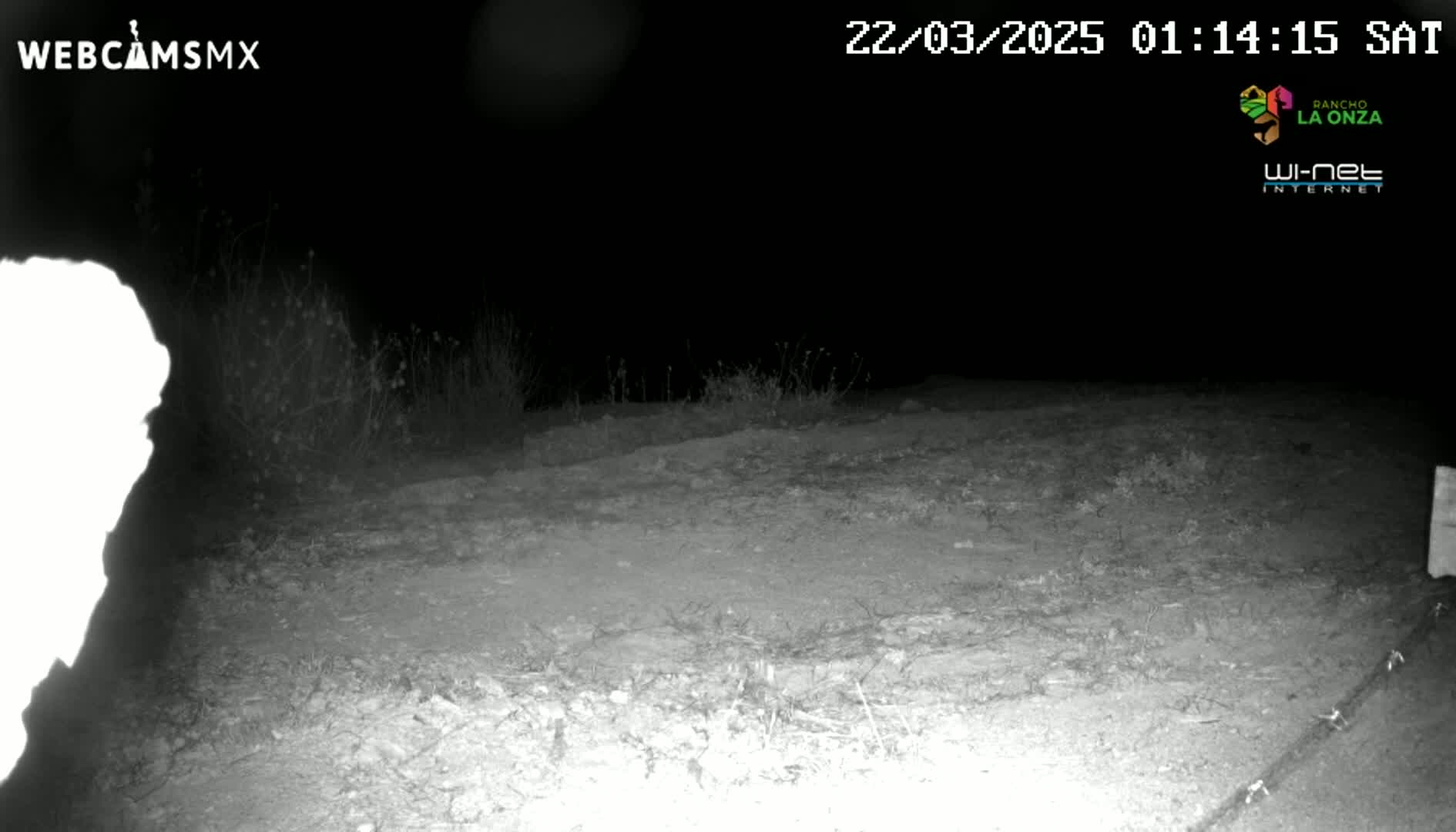 A nighttime, low-light image shows a dirt area with sparse vegetation, possibly a path or road, and a bright, blurry object in the left foreground.