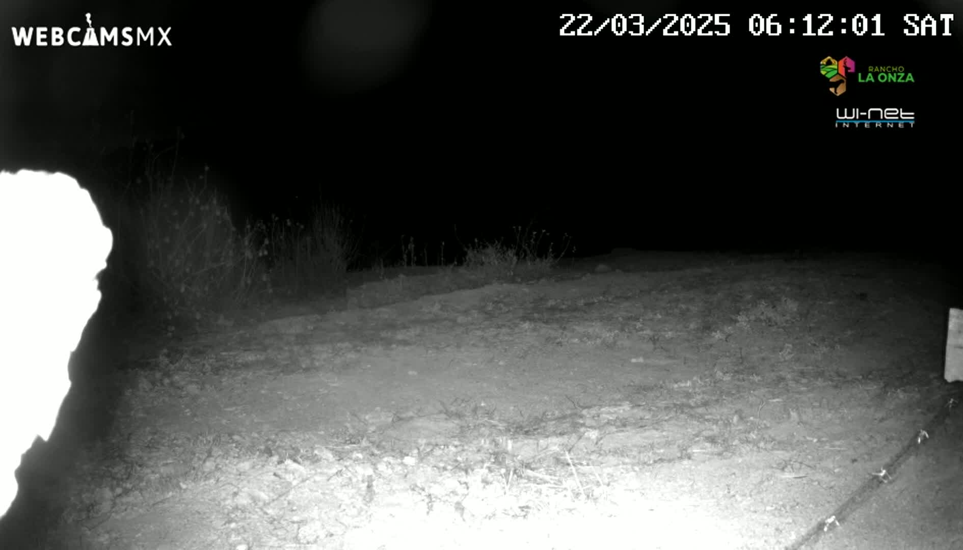 A nighttime, low-light image shows a dirt area with sparse vegetation, possibly a road or path, under a dark sky.