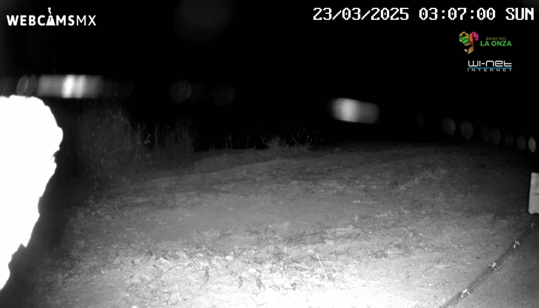 A nighttime, low-light image shows a dirt area with sparse vegetation, possibly a road or path, under a clear, dark sky.