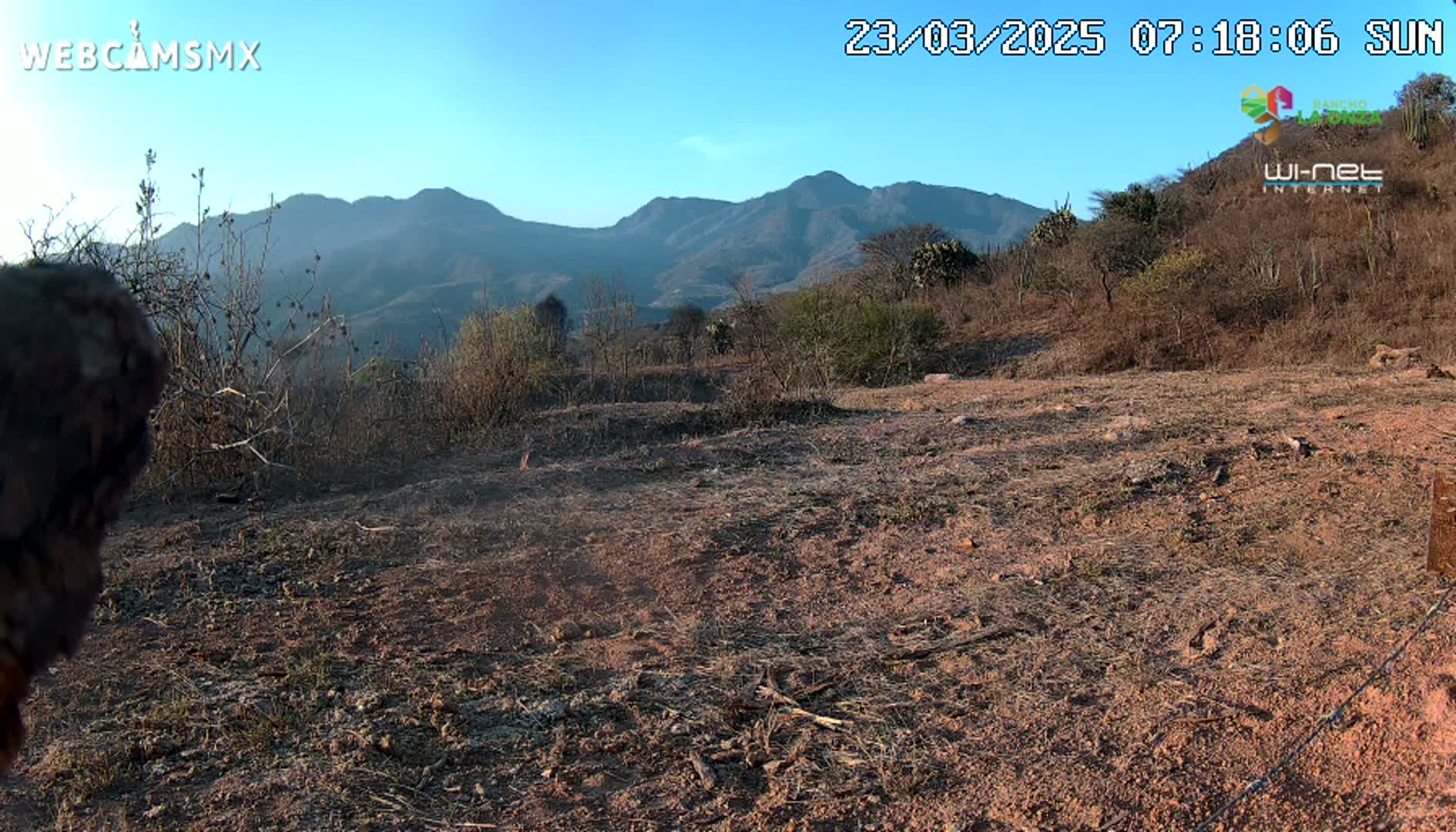 A dry, reddish-brown dirt field stretches out before a backdrop of distant, hazy mountains under a clear, sunny sky.