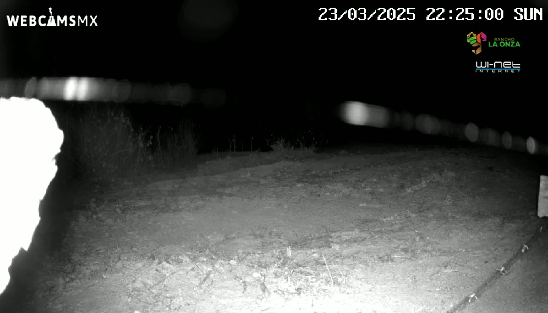 A nighttime, ground-level view shows a dark, dirt area with sparse vegetation under a clear, dark sky.