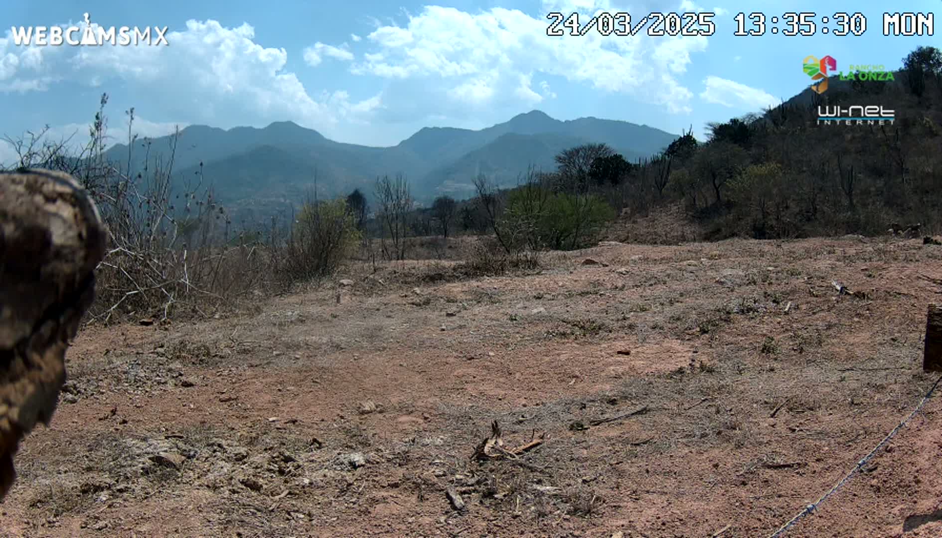 A mostly barren, reddish-brown dirt patch stretches towards a range of distant, hazy blue mountains under a partly cloudy sky.