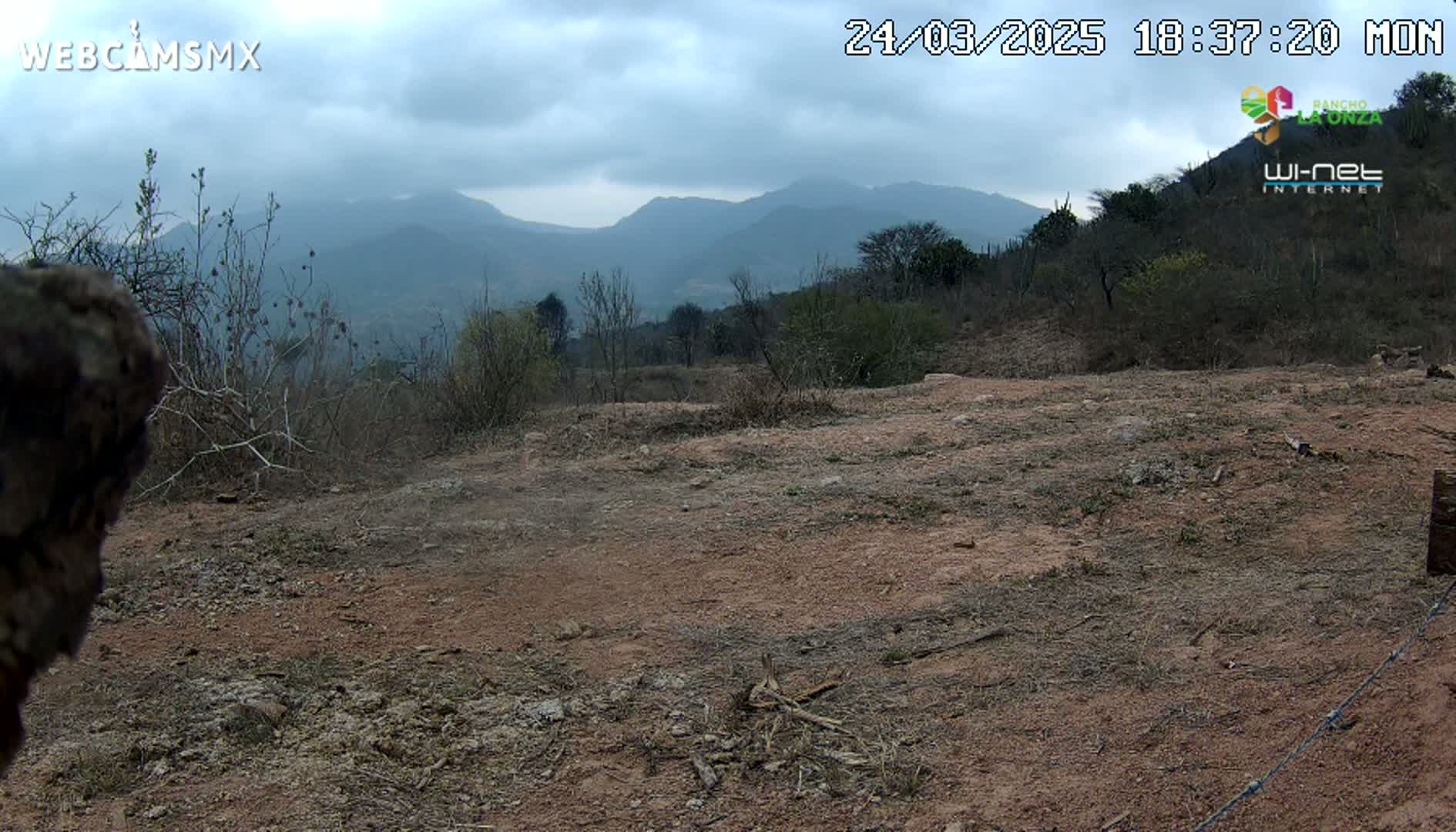 A mostly barren, reddish-brown dirt expanse stretches toward distant, hazy mountains under an overcast sky.