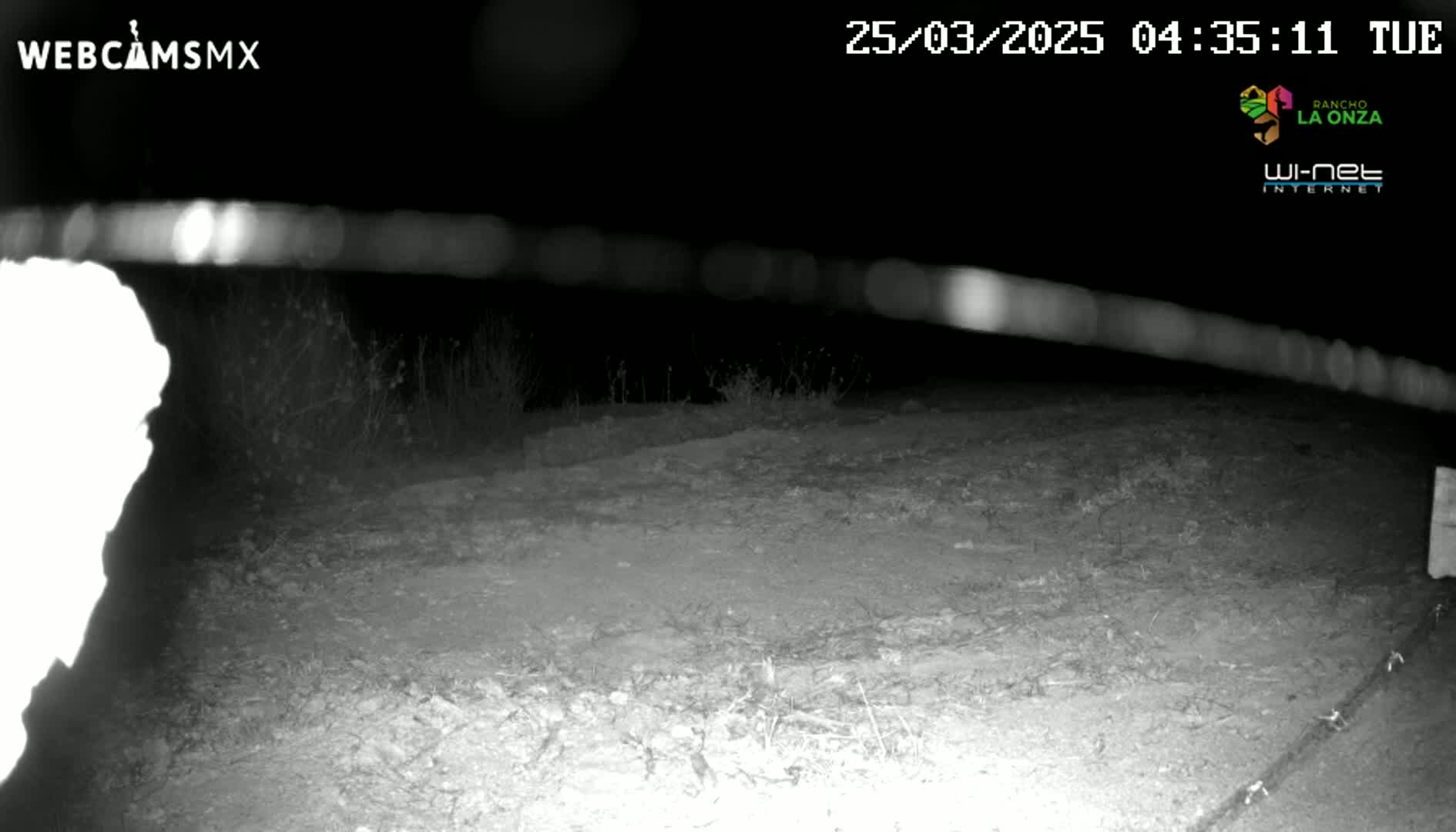 A nighttime, low-light image shows a dirt ground with sparse vegetation, possibly a road or path, under a dark sky.