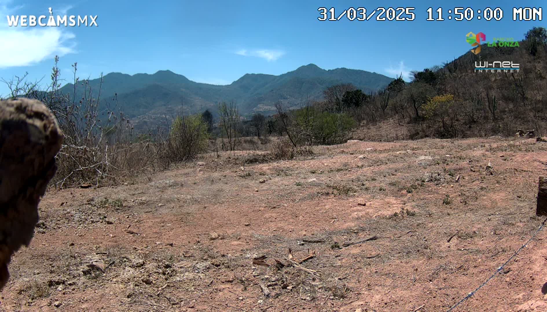 A dry, reddish-brown dirt field slopes gently downward toward a background of scrubby, low-lying vegetation and distant mountains under a clear blue sky.