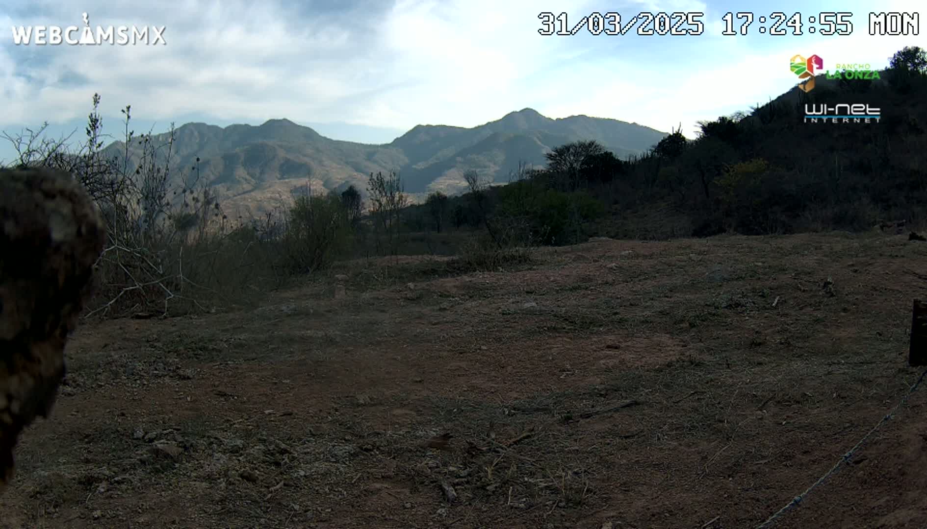 A mostly barren, brown landscape with sparse, dry vegetation stretches out before a range of mountains under a partly cloudy sky.