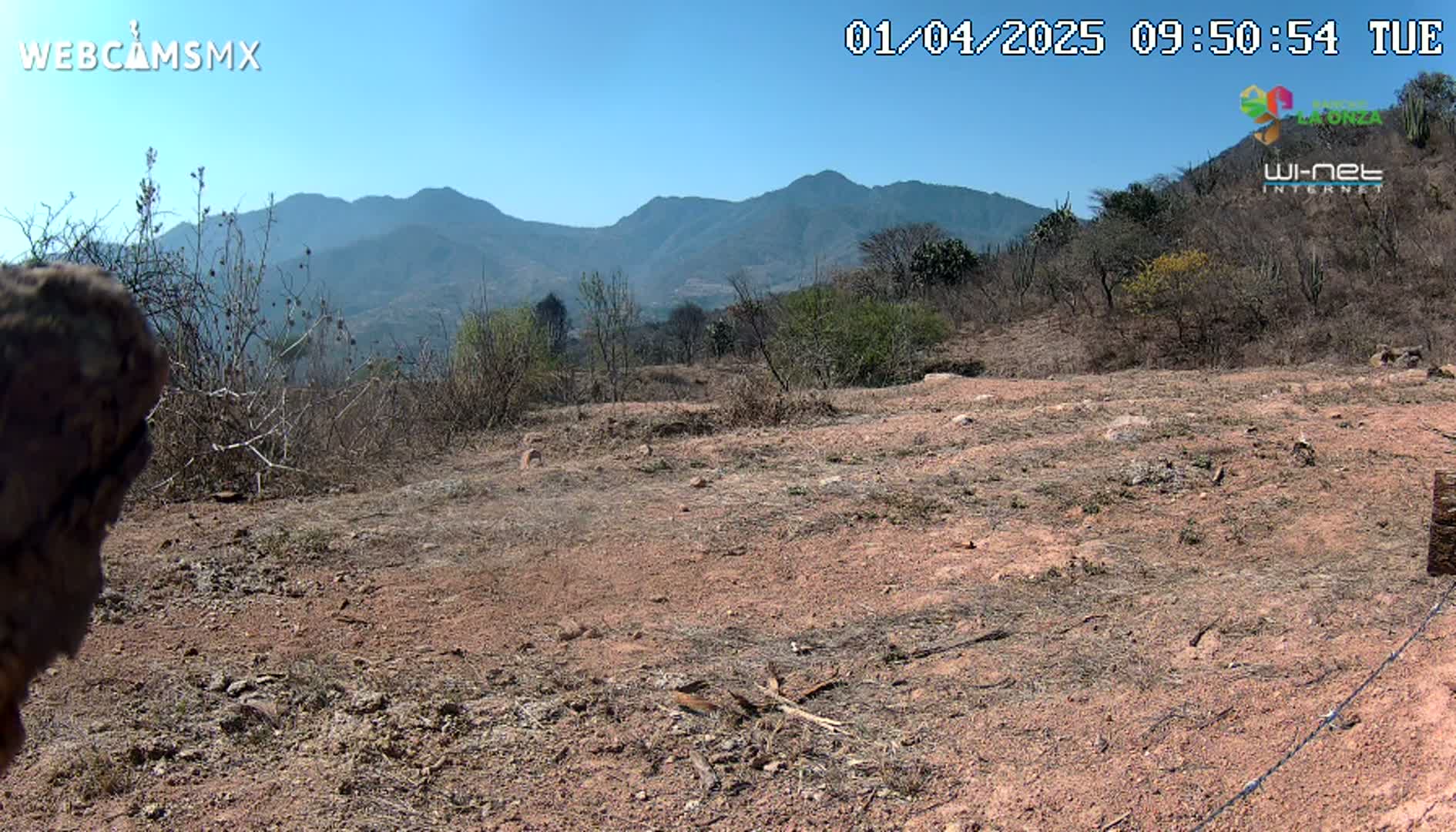 A dry, reddish-brown dirt field stretches out before a backdrop of mountains under a clear blue sky.