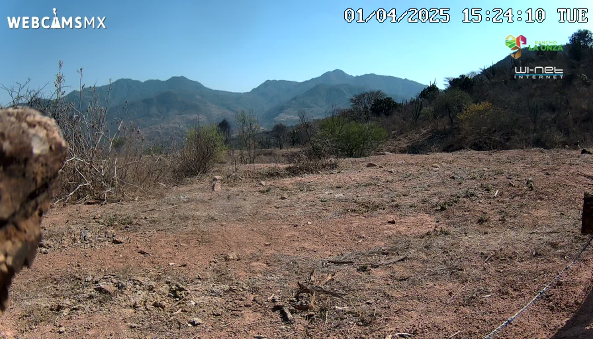 A dry, reddish-brown dirt field stretches towards a range of mountains under a clear blue sky.