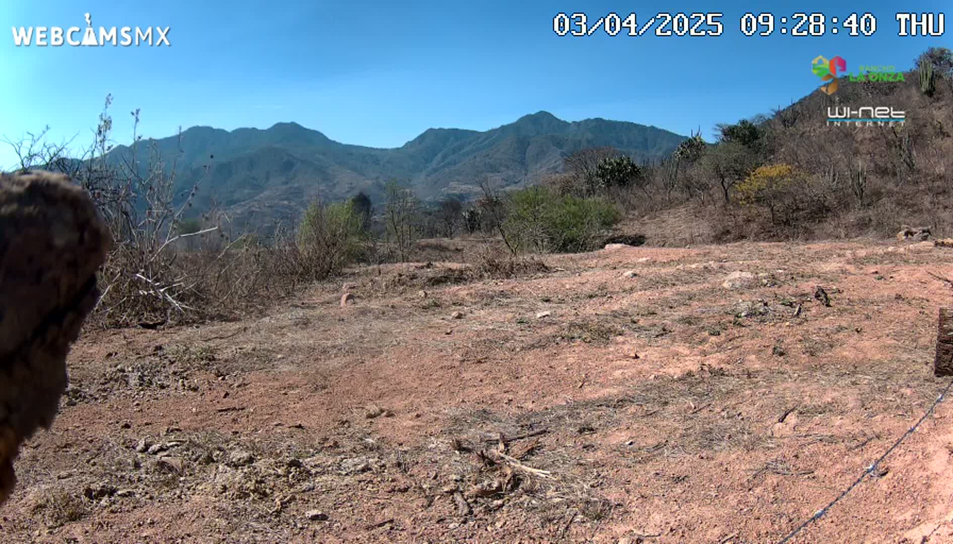 A mostly barren, reddish-brown dirt area with sparse, dry brush and distant mountains under a clear blue sky.