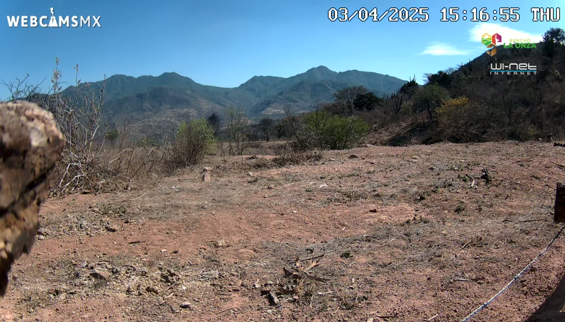 A dry, reddish-brown expanse of land with sparse, dry vegetation stretches out before a backdrop of distant mountains under a clear, sunny sky.