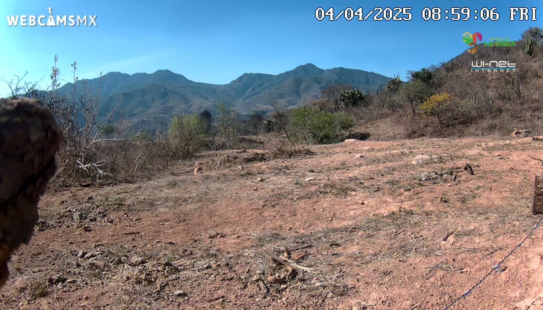 A mostly barren, reddish-brown dirt area with sparse, dry brush and distant mountains under a clear blue sky.