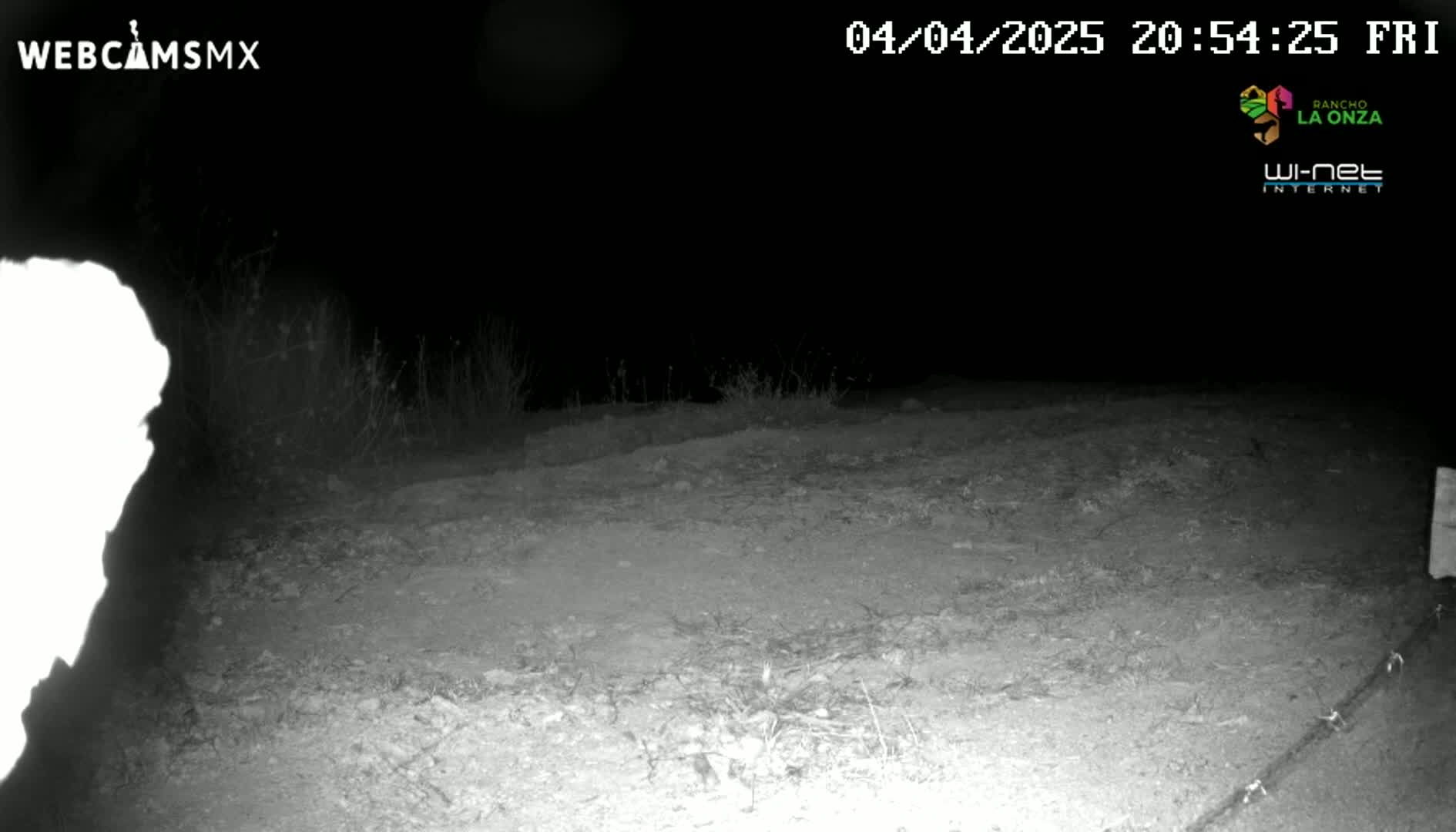 A nighttime, low-light image shows a dirt area with sparse vegetation, possibly a road or path, with a bright, overexposed area on the left.