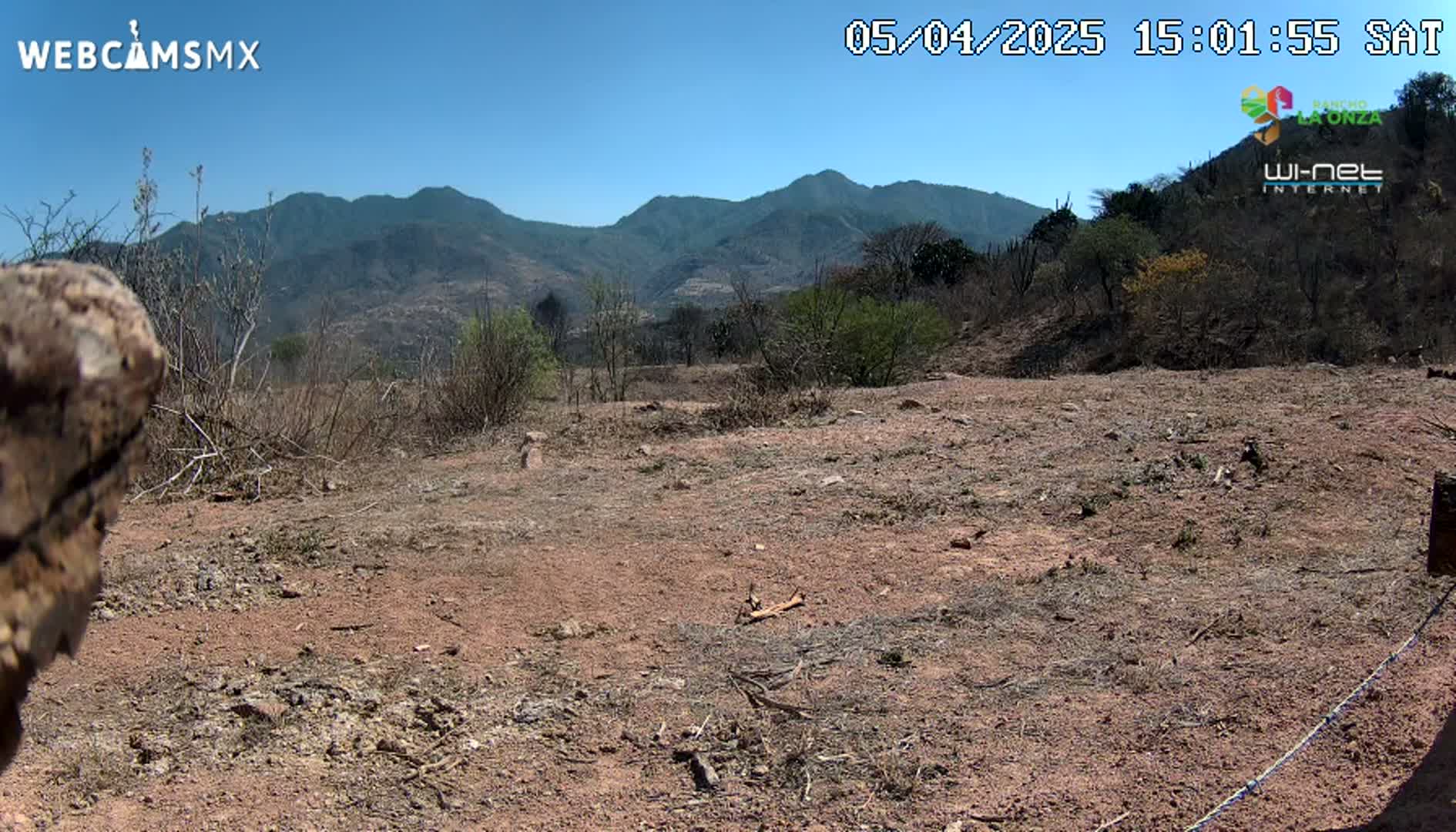 A dry, reddish-brown expanse of land with sparse, dry brush and distant mountains under a clear blue sky.