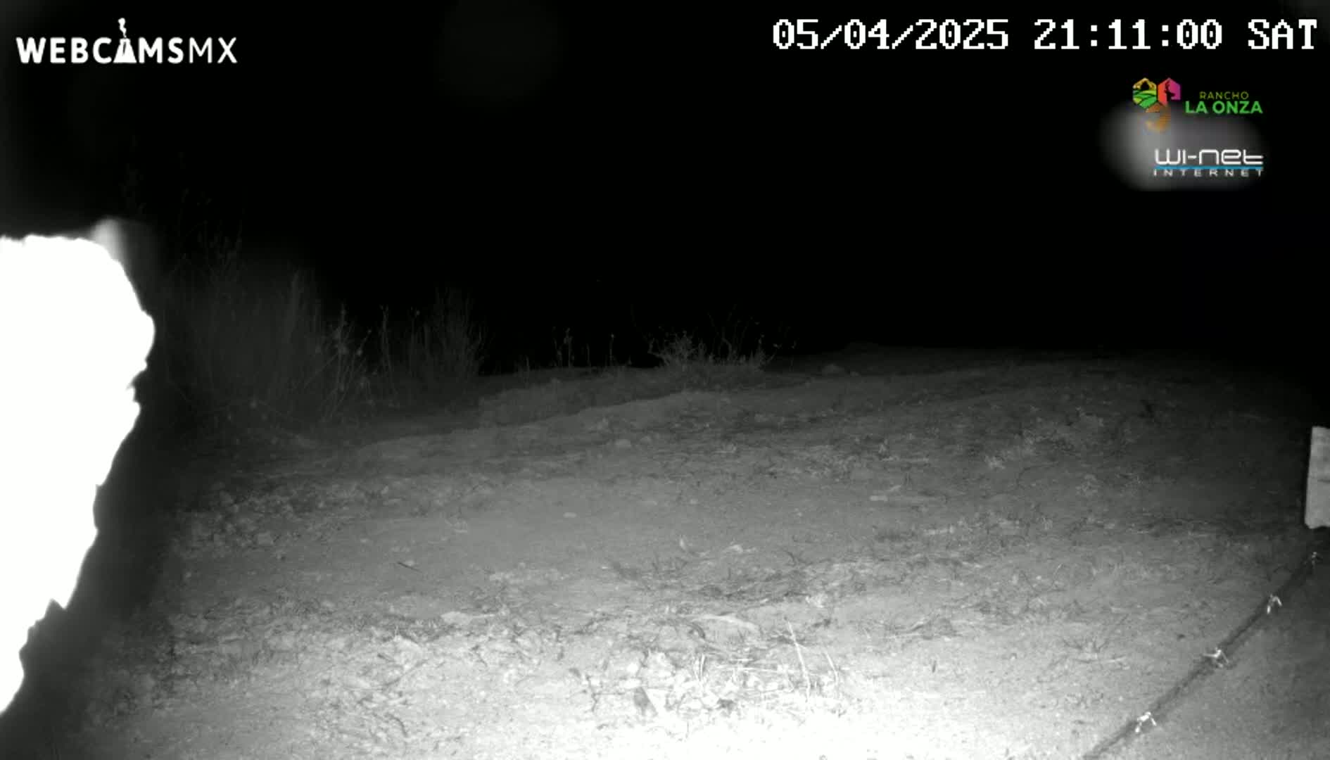 A nighttime, low-light image shows a dirt ground with sparse vegetation, a blurry bright object to the left, and a fence in the lower right corner.