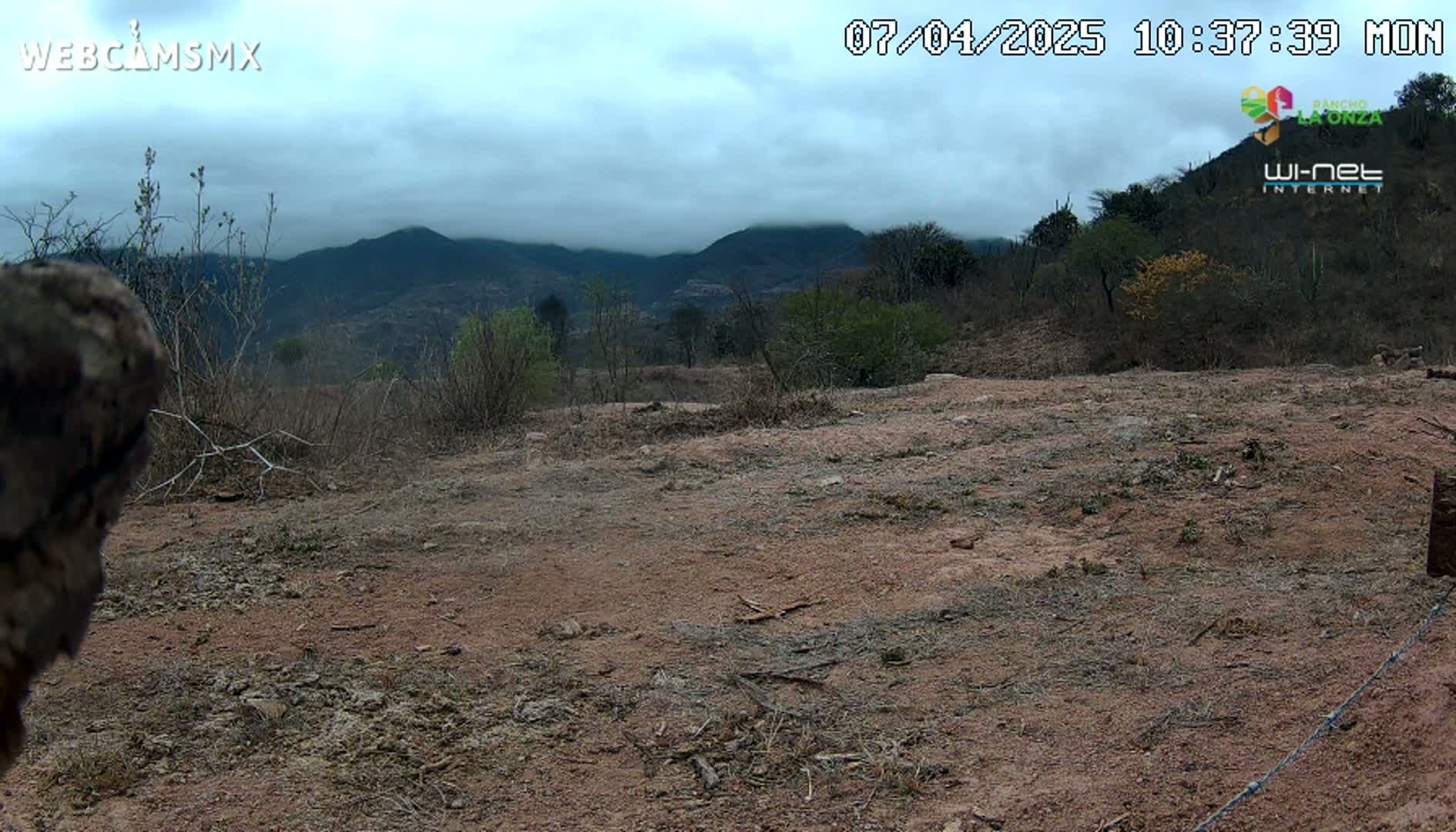 A mostly barren, reddish-brown dirt area with sparse vegetation in the foreground extends to a background of low, dark mountains under a cloudy sky.
