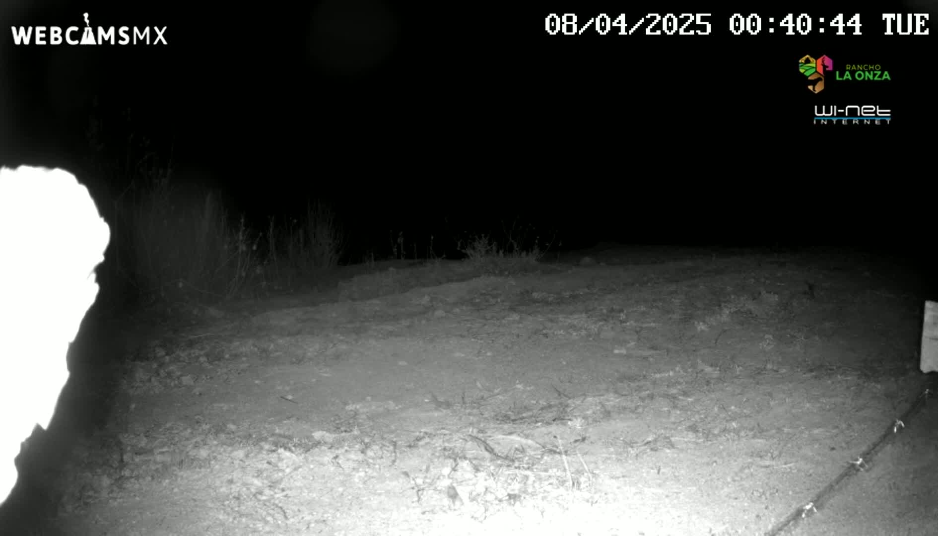A nighttime, low-light image shows a dirt path bordered by sparse vegetation under a dark sky.