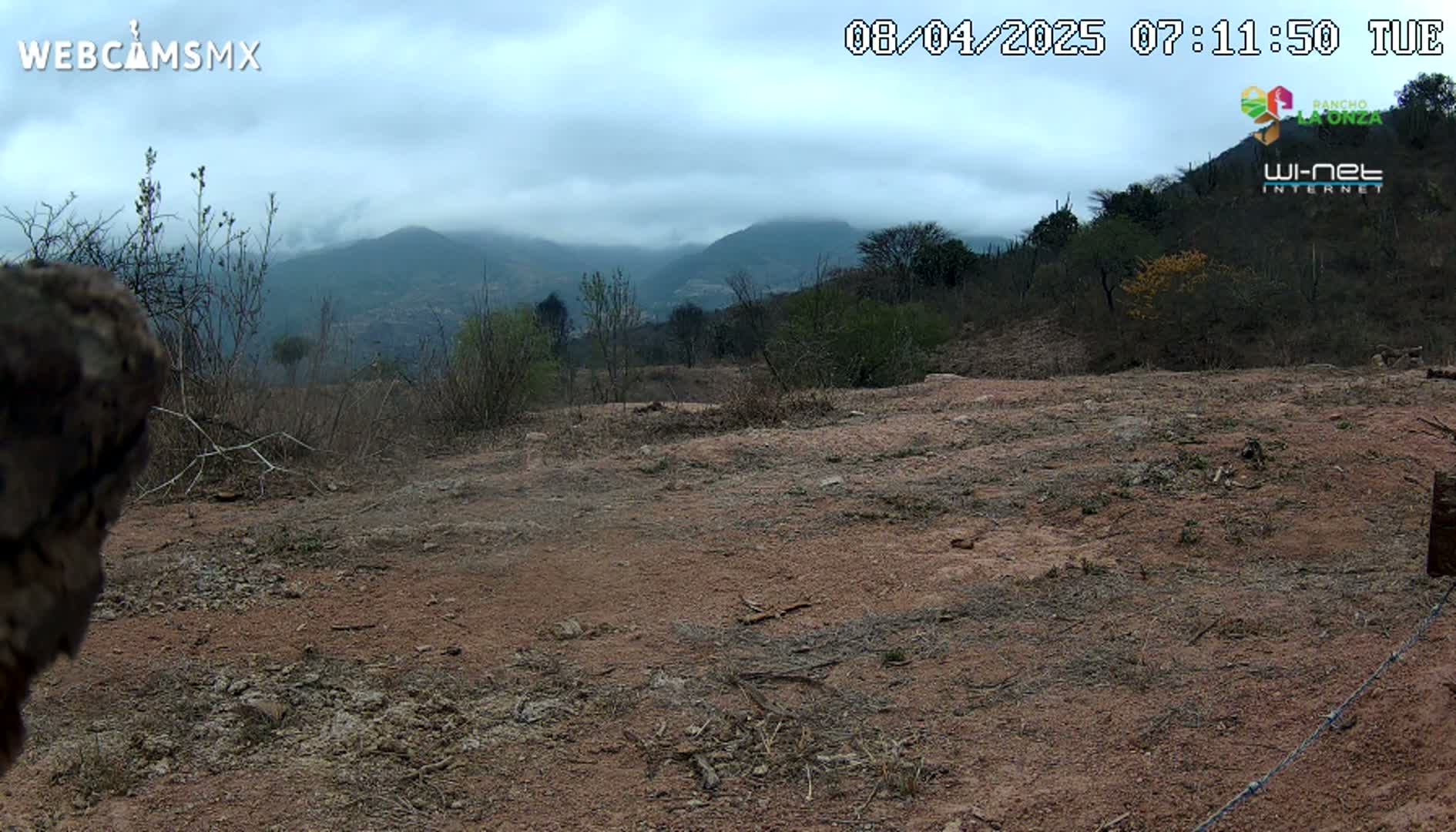 A dry, reddish-brown dirt patch stretches towards a hazy, mountainous landscape under a cloudy sky.