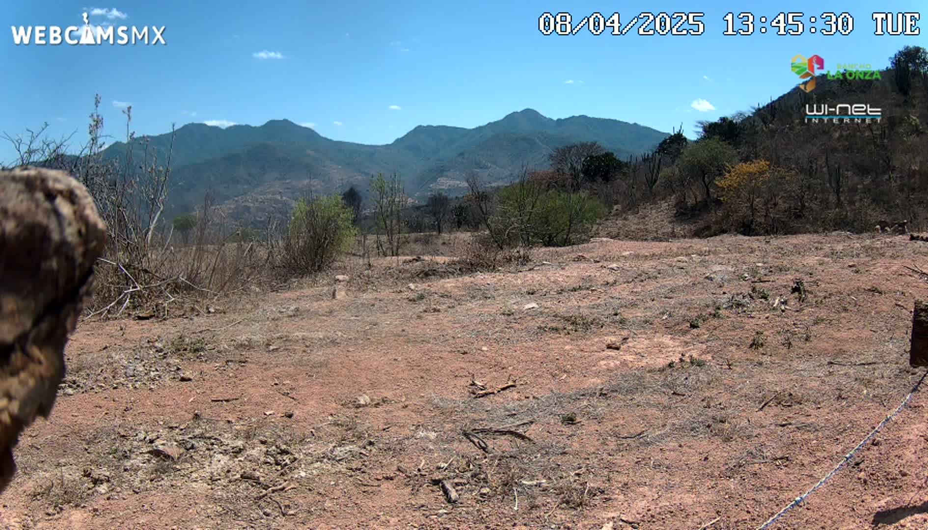 A mostly barren, reddish-brown dirt field stretches towards a range of dark-green mountains under a clear blue sky with a few scattered clouds.
