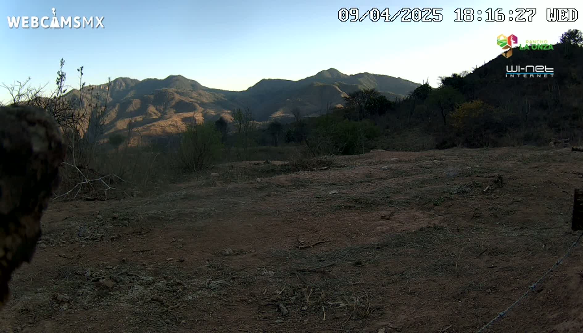 A dry, dirt landscape with sparse vegetation stretches before a range of mountains under a clear, blue sky.