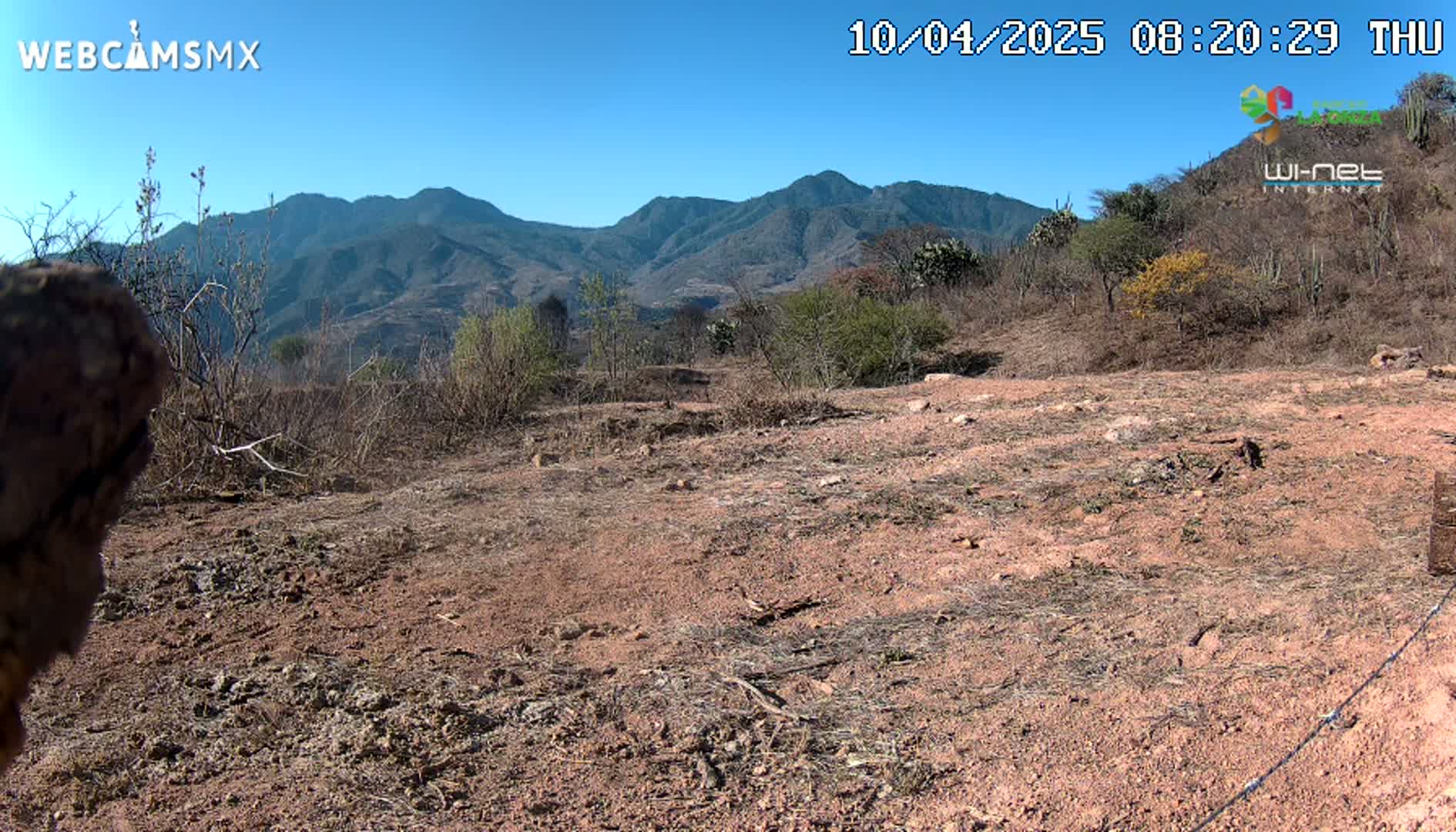 A mostly barren, reddish-brown dirt patch stretches out before a background of scrub brush and distant mountains under a clear blue sky.