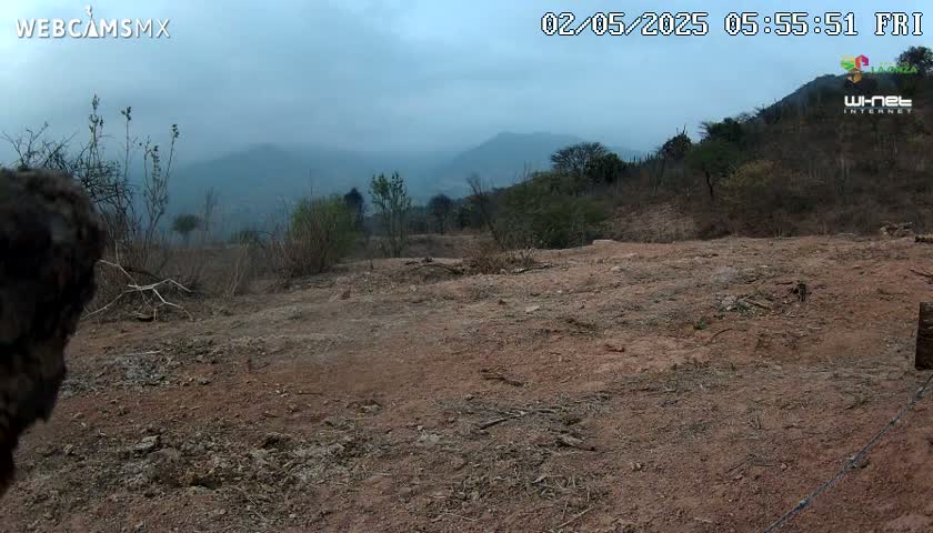 A mostly barren, reddish-brown dirt landscape with sparse, dry vegetation stretches toward hazy, distant mountains under an overcast sky.