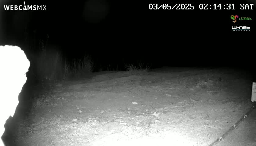 A nighttime, infrared view shows a mostly empty dirt area with sparse vegetation, a blurry object on the left, and a wire fence running along the bottom right.
