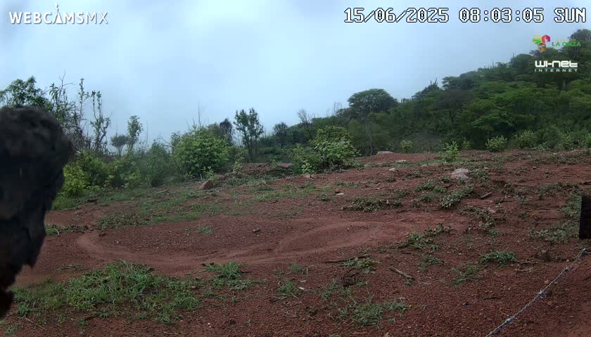 A mostly clear, overcast day reveals a dirt path winding through a reddish-brown, sparsely vegetated area, bordered by a line of green trees and shrubs.