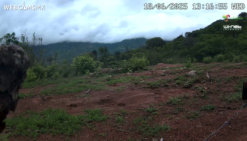 Rancho La Onza BordoNatural Park Live Cam - San Luiz de la Paz, Guanajuato, Mexico