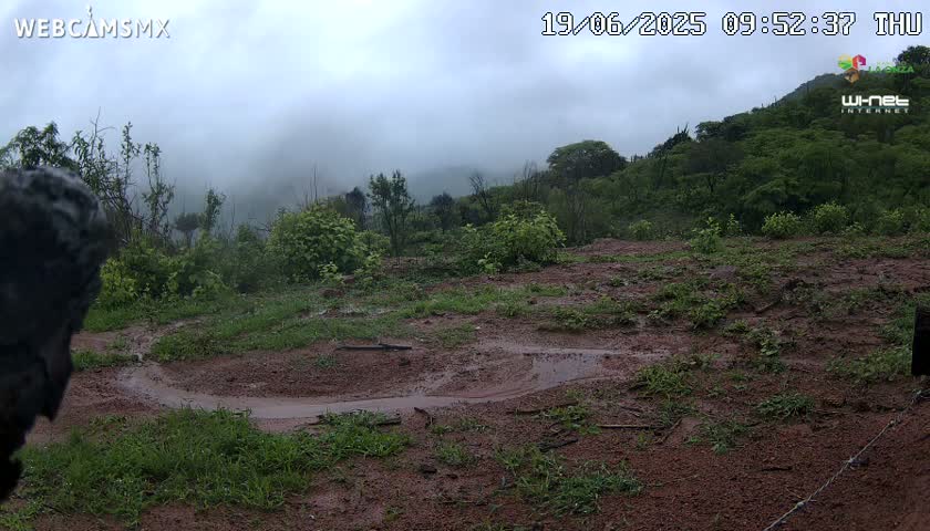 A muddy, hilly landscape with patchy vegetation is visible under an overcast sky.